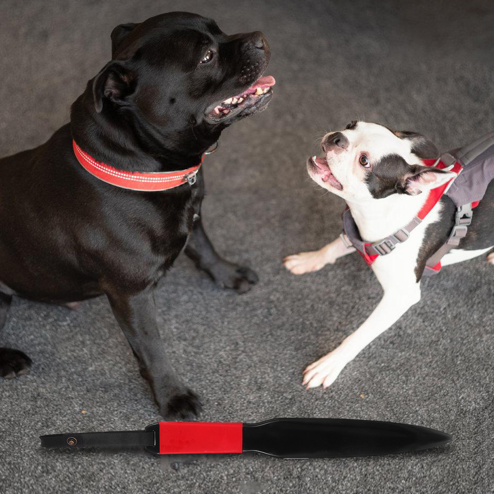 Robuster Hundebrechstock für g – Power Tools Training Bewertung und Preis